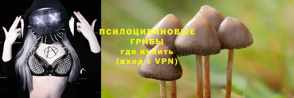 не бодяженный Арсеньев