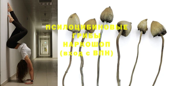марки nbome Аркадак