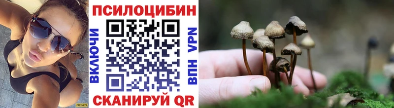 как найти наркотики  Приморско-Ахтарск  Псилоцибиновые грибы Psilocybine cubensis 